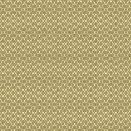 Poppy Seed Basics Olive