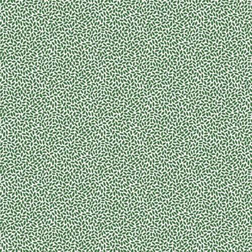 Aunt Grace Goes Bold Rice Green