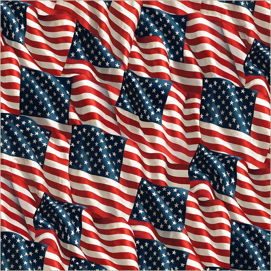 Windham 108 Quilt Backs Old Glory