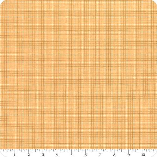 Bee Plaids Hayride Daisy