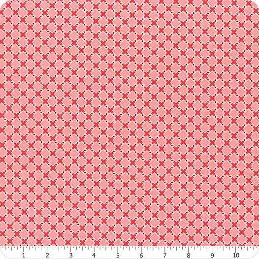 Bee Plaids Orchard Coral