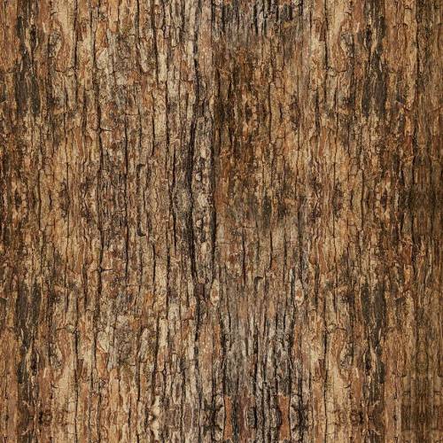 Woodland Retreat Wood Tree Bark Brown