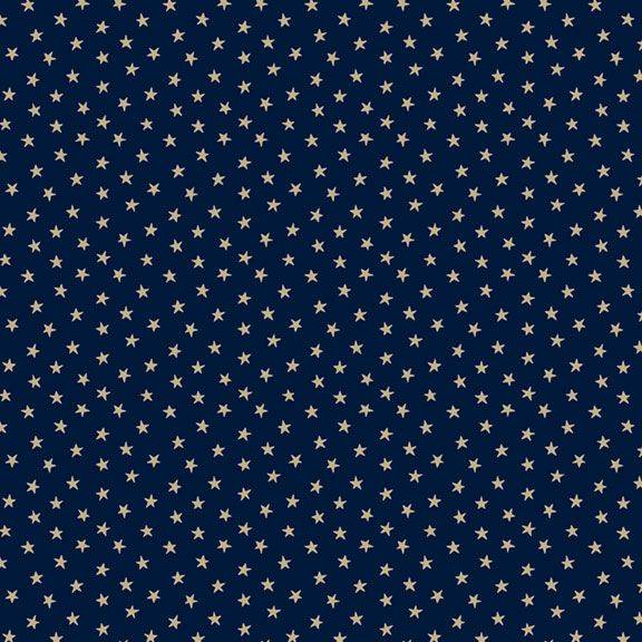 Indigo Schoolhouse Stars Navy