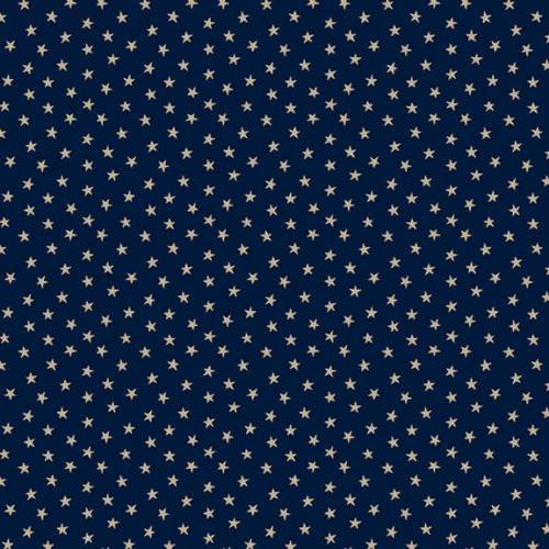 Indigo Schoolhouse Stars Navy