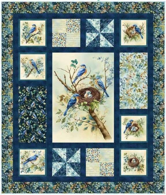 Awakenings Boxed In Quilt Kit