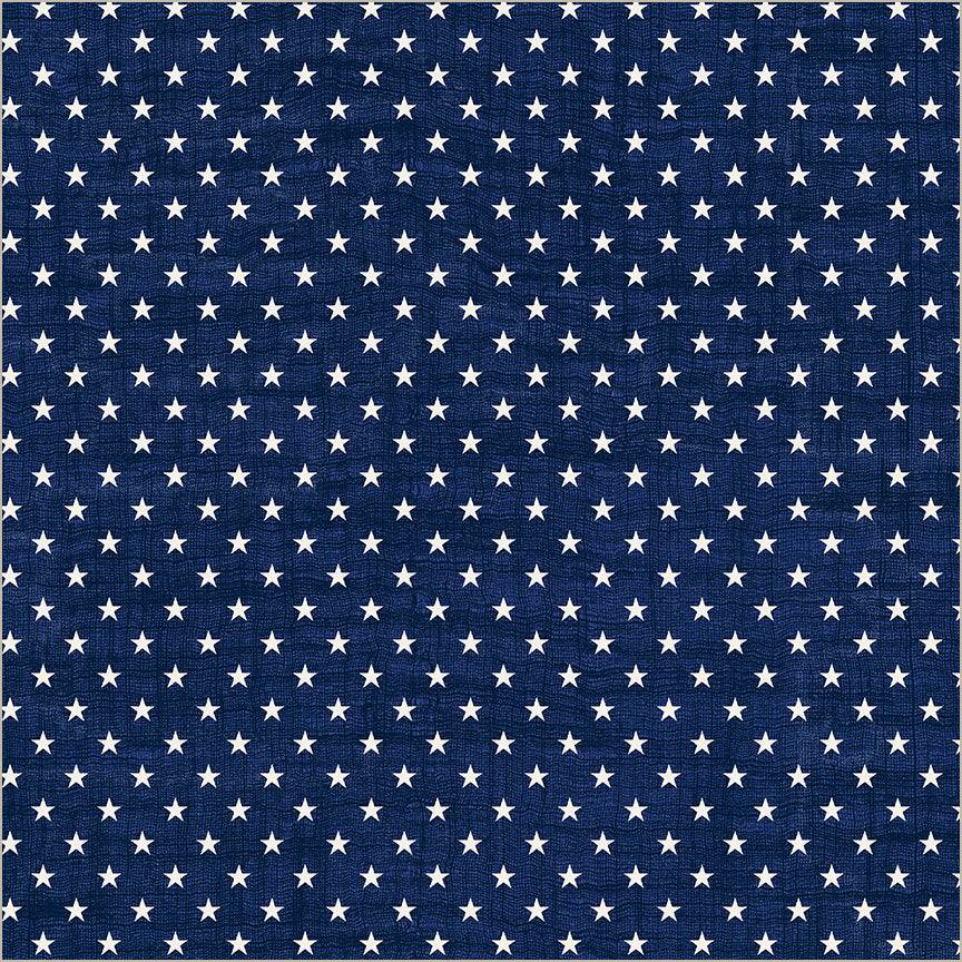 American Tribute Star-Spangled Navy