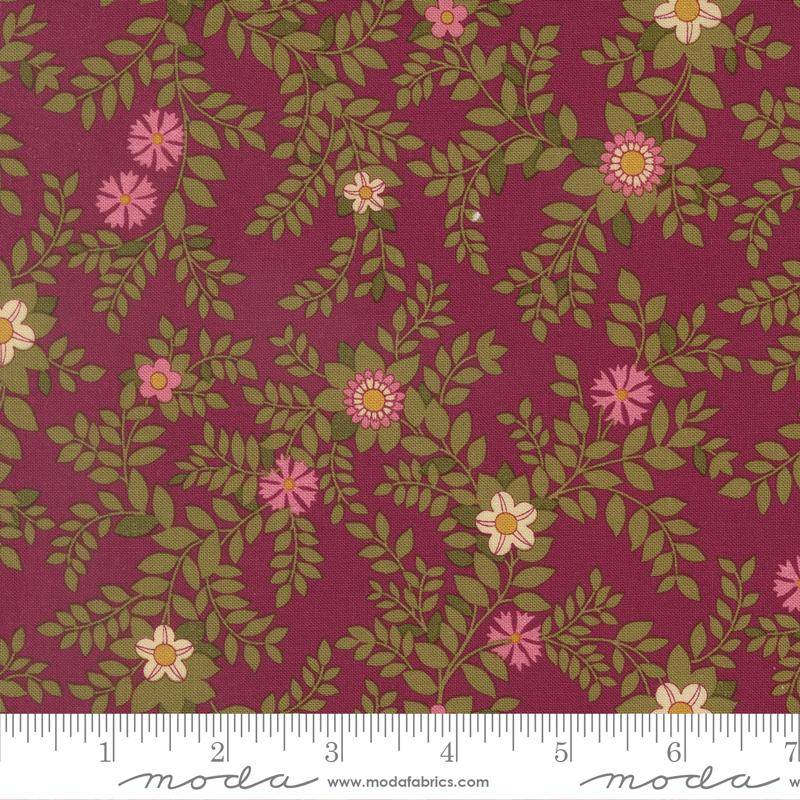 Chelsea Garden Galivanting Garden Mulberry