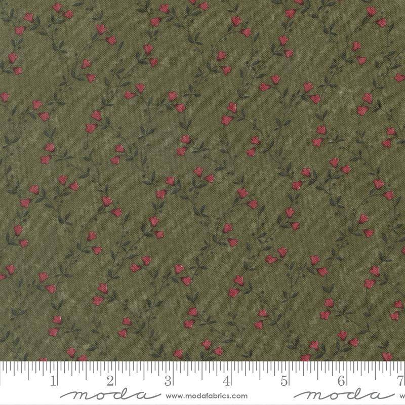 Quail Run Creeping Vine Grass