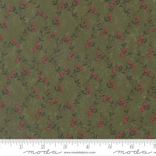 Quail Run Creeping Vine Grass