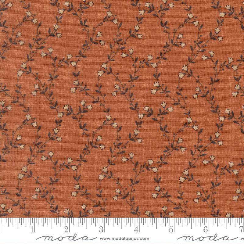 Quail Run Creeping Vine Pumpkin