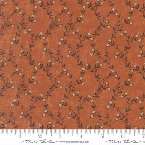 Quail Run Creeping Vine Pumpkin