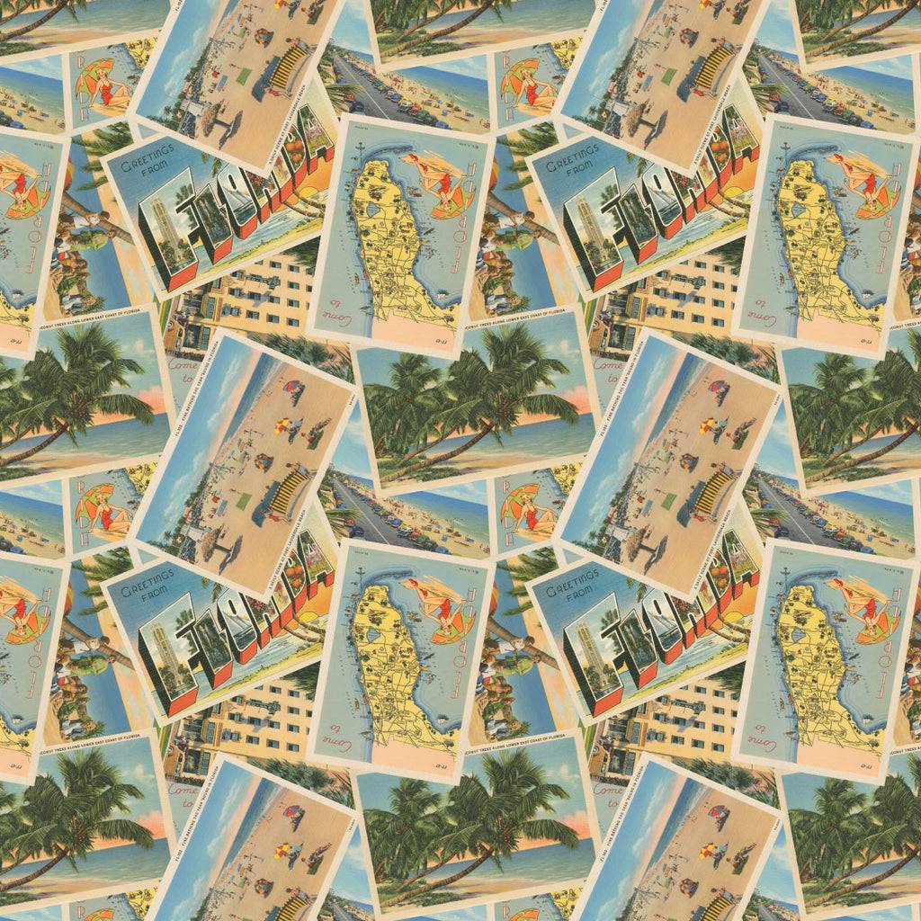 Palm Paradise Florida Postcards-Multi