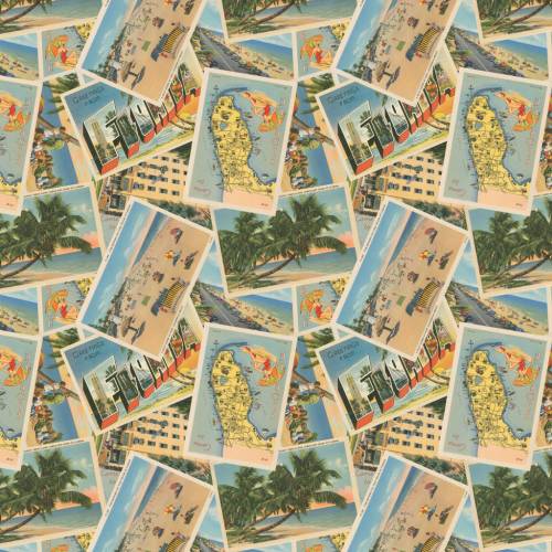 Palm Paradise Florida Postcards-Multi