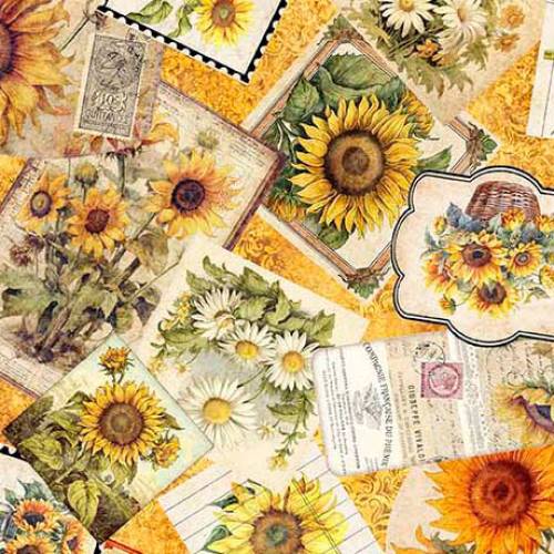 Sunflower Serenade Sunflower Ephemera