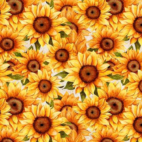 Sunflower Serenade Packed Sunflowers