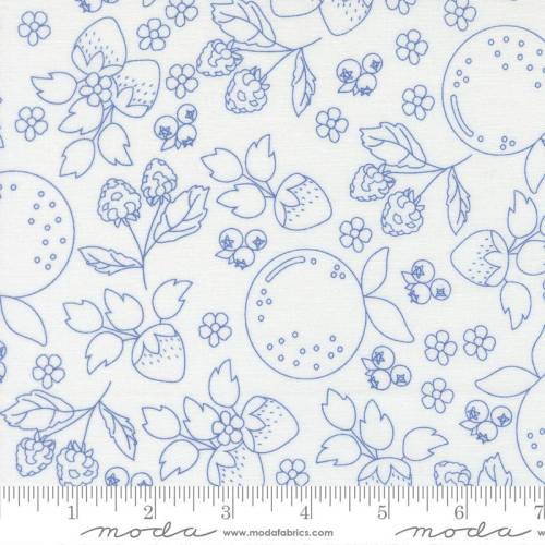 Fruit Salad Fruit Sketch Novelty Toile