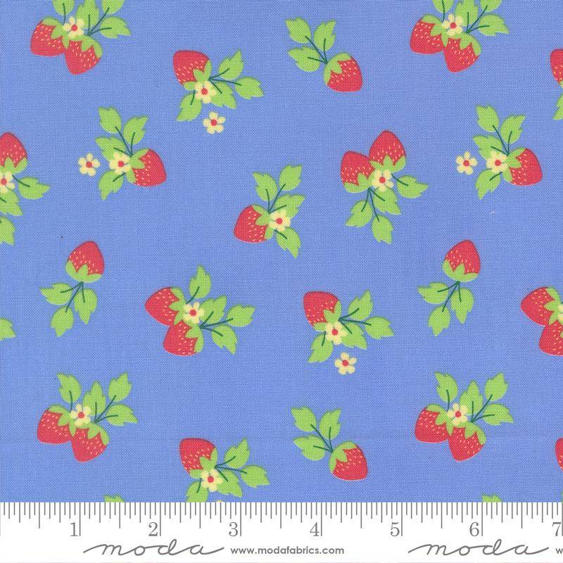 Fruit Salad Strawberries Novelty