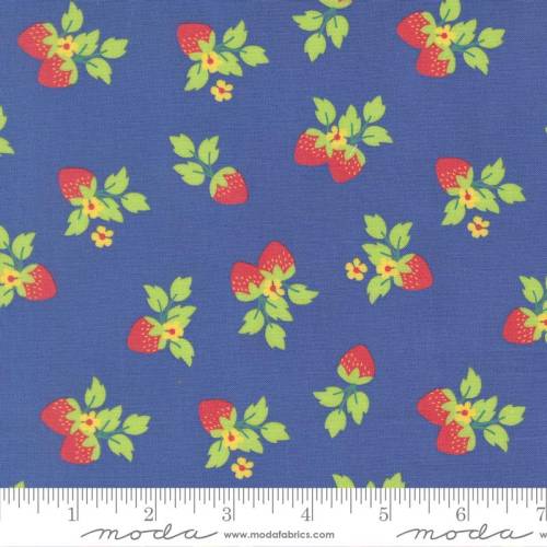 Fruit Salad Strawberries Novelty