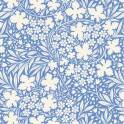 Something Blue - PREORDER - Worldwide release June 1 Bushbloom Blue image 1