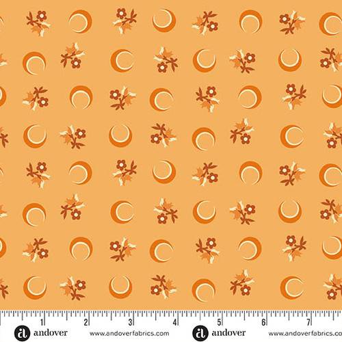 Nightfall Flower Moon Orange Flower Moon Orange