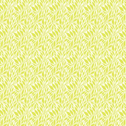 Daisy Crush Wander - Citrine