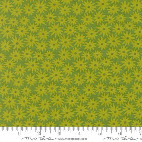 Scenery Sedum Limeade