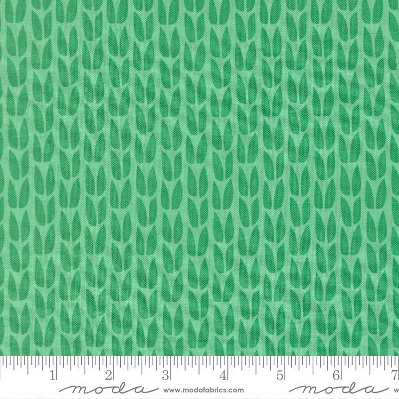 Scenery Sprout Spearmint
