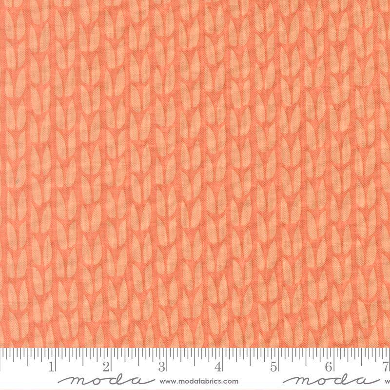 Scenery Sprout Coral