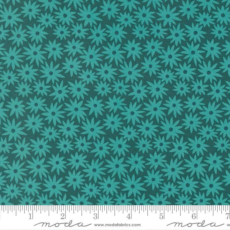 Scenery Sedum Dark Teal