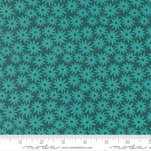Scenery Sedum Dark Teal