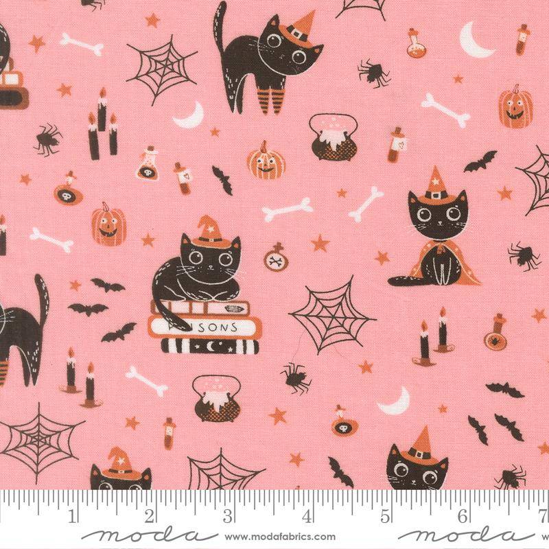 Purrs and Boos Candy