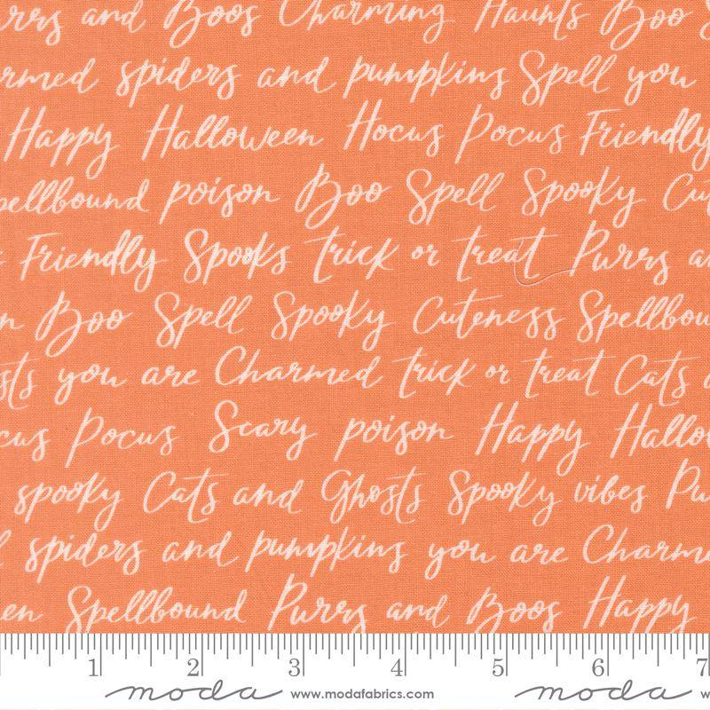 Purrs and Boos Pumpkin