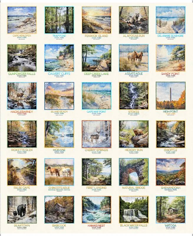 2026 Mid-Atlantic Shop Hop - PREORDER Mid-Atlantic Picture Patches
