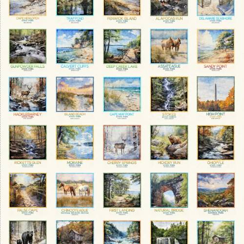 2026 Mid-Atlantic Shop Hop - PREORDER Mid-Atlantic Picture Patches