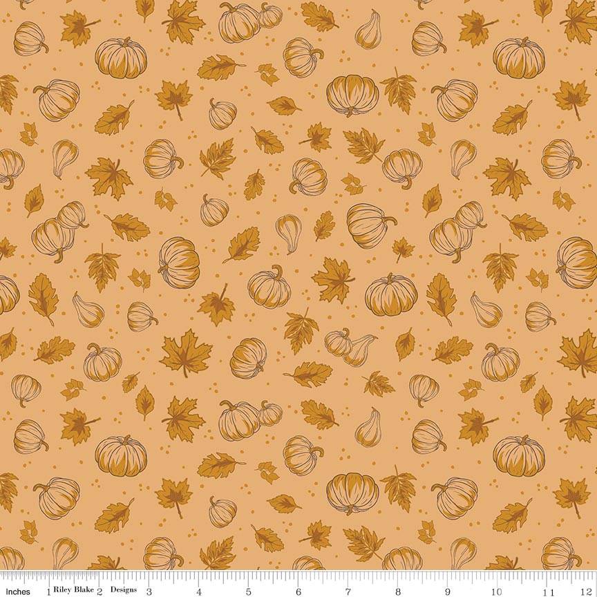 Cozy Autumn Pumpkins Daisy