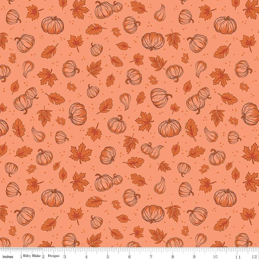 Cozy Autumn Pumpkins Melon