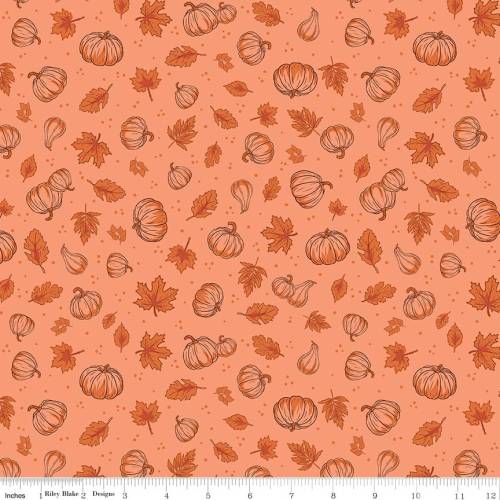 Cozy Autumn Pumpkins Melon