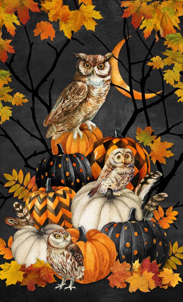 Night Owl 26" Panel