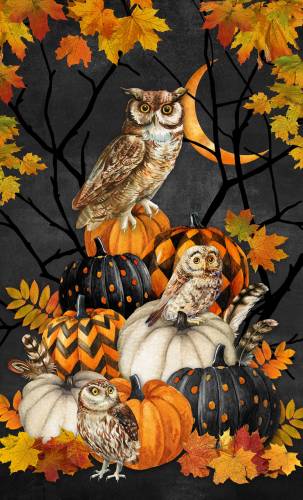 Night Owl 26" Panel