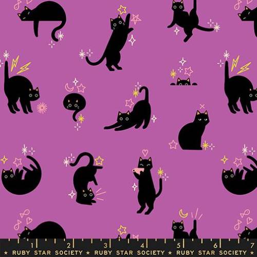 Freaky Familiars Catwalk - Witchy