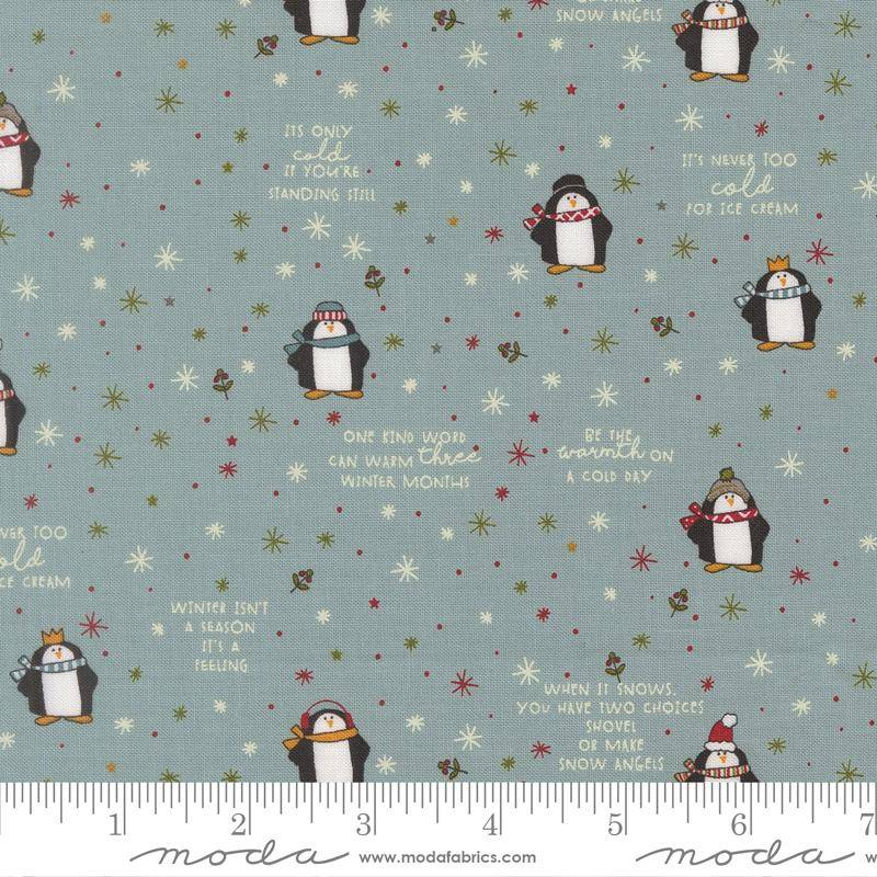 Chilly Mr Penguin Storm