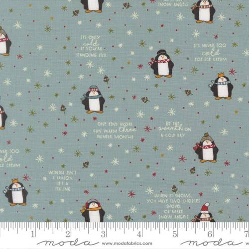 Chilly Mr Penguin Storm