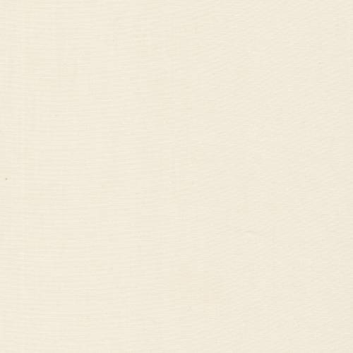 Falling Into Autumn - Cirrus Solids - Ivory
