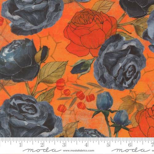 Coven Rose - Pumpkin
