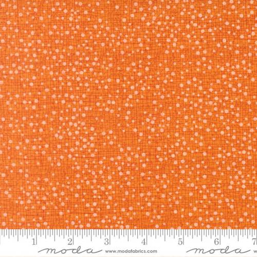 Coven Dotty Thatched Citrus