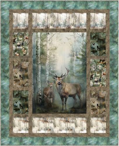 Birds Eye View Quilt Kit