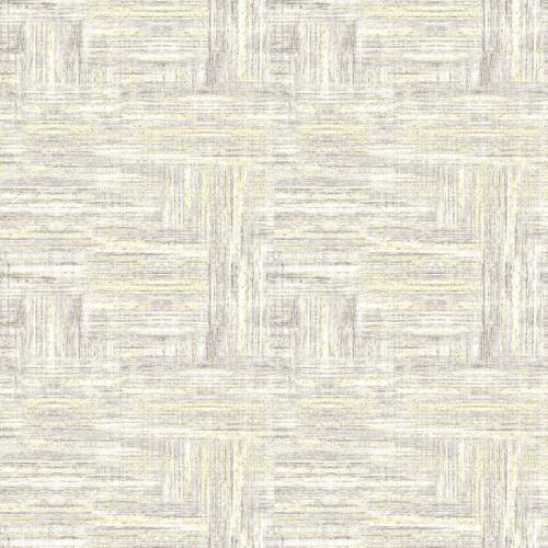2026 Mid-Atlantic Shop Hop - PREORDER Distressed Wood Texture - Taupe