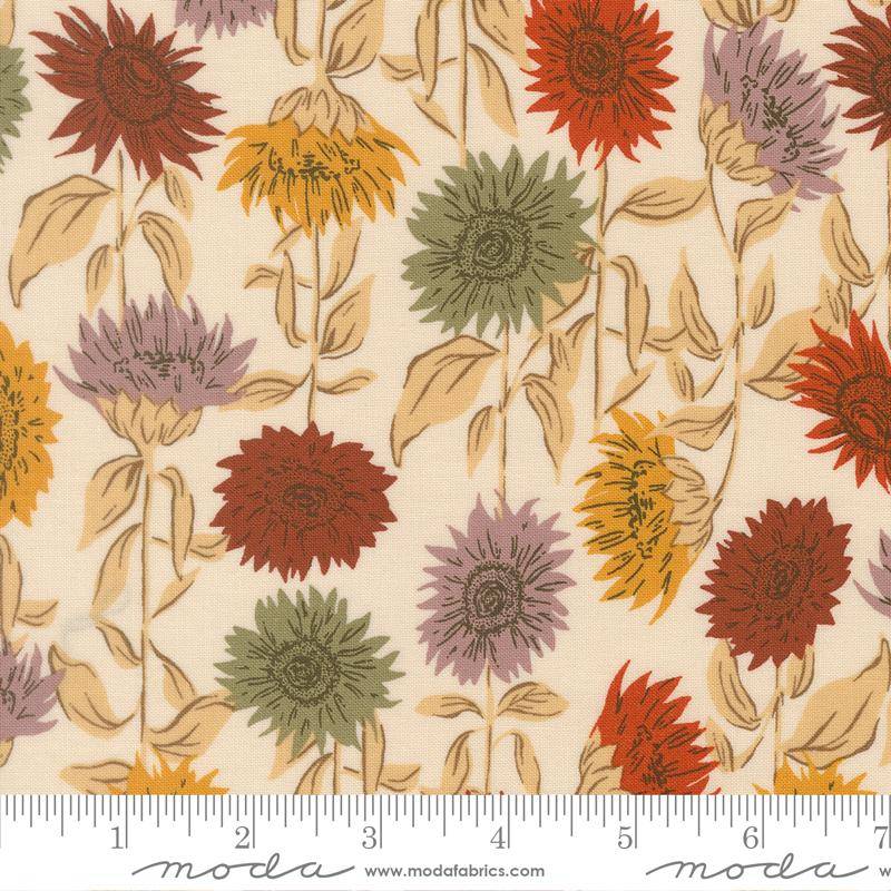 Windfall Sunflower Field - Eggshell