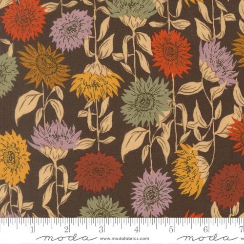 Windfall Sunflower Field - Coffee