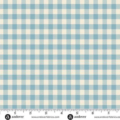 Special Delivery Gingham Chambray